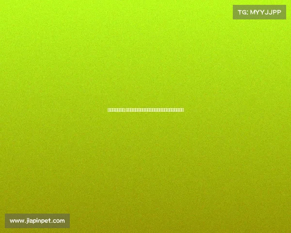 梯队到底怎么了;全国梯队联赛体系推动青少年竞技人才培养与体育发展